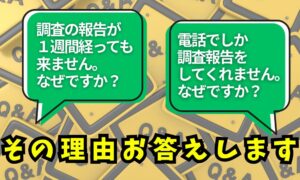 結論から言うと、この種の注意喚起記事では「比較表は入れた方がいい」です。
